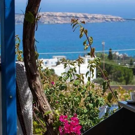 Aloe Paros Suites And Studios Drios Exteriér fotografie