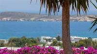 Aloe Paros Suites And Studios Drios Exteriér fotografie